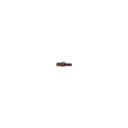 SPANNSCHRAUBE M-4X10 MM ALTER STEG 2er Pack