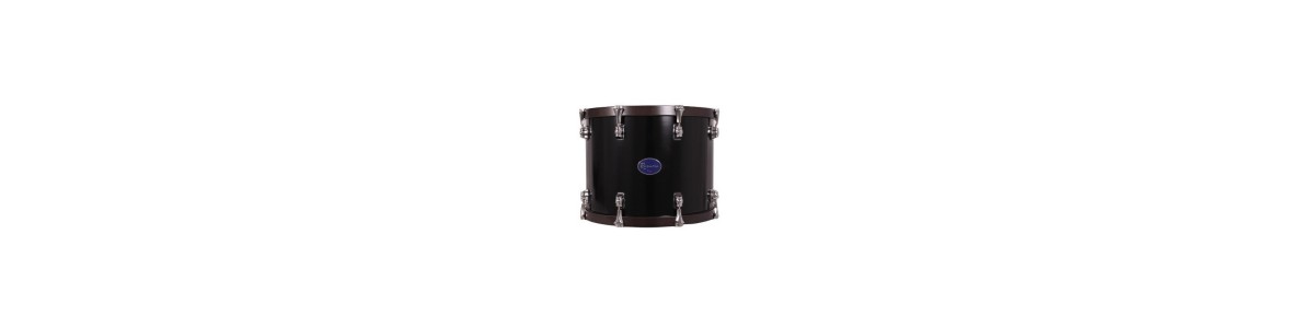Timbales Sayón Rosario