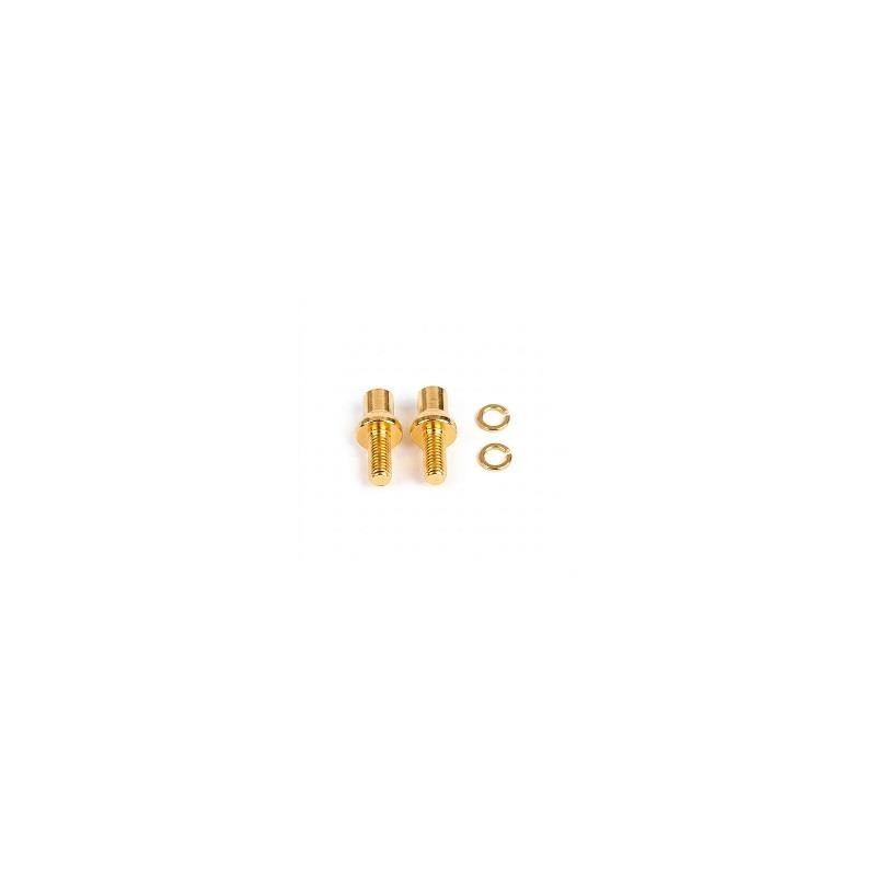 M-4X10MM alte Brückenschraube, 2er-Pack.