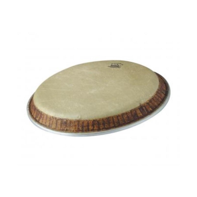 121/2" NUSKYN TOMB ROWING 35.56 CM