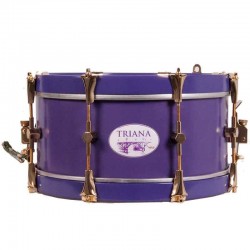 TAMBOR SAYÓN TRIANA ORO 35,6 Ø X 16 CM MORADO AROS MORADO